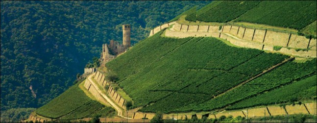 Rudesheim Berg Schlossberg, Germany