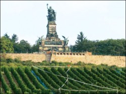 Rudesheim vines with famous Niederwald Monument