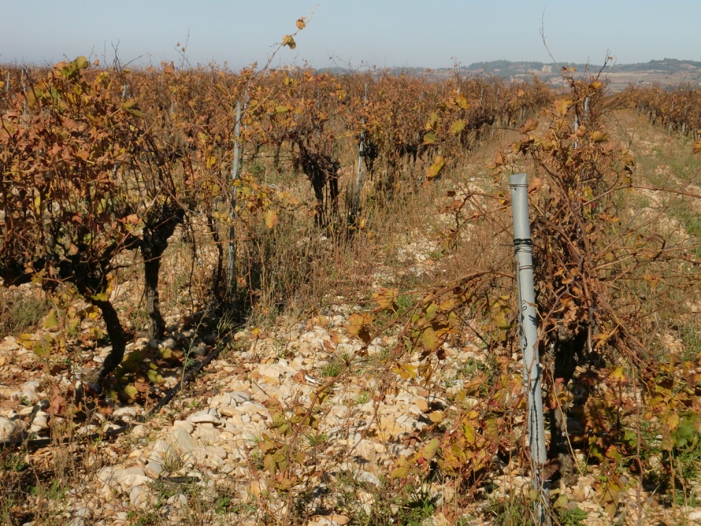 Shalom Chin Blog – Southern Rhone Valley – Part 5 – The Villages of ...